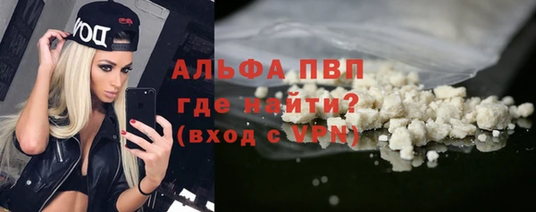 прущий лед Богданович