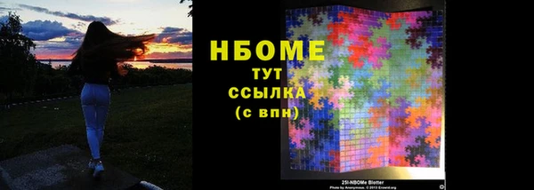 прущий лед Богданович