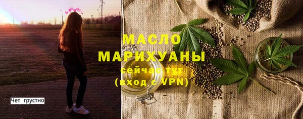 прущий лед Богданович