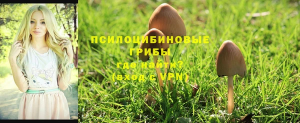 прущий лед Богданович