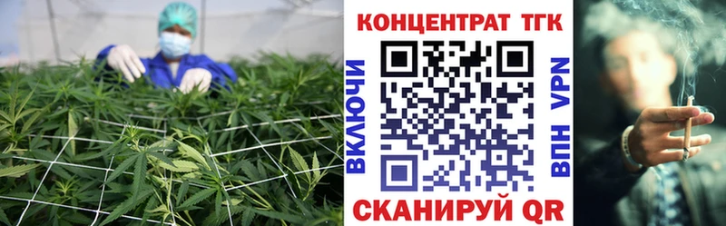 цены наркотик  Торопец  ТГК THC oil 