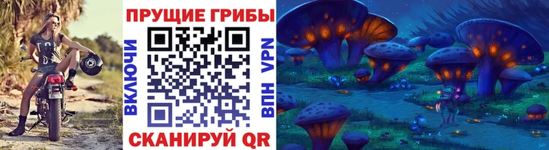 Галлюциногенные грибы Magic Shrooms  наркота  Торопец 